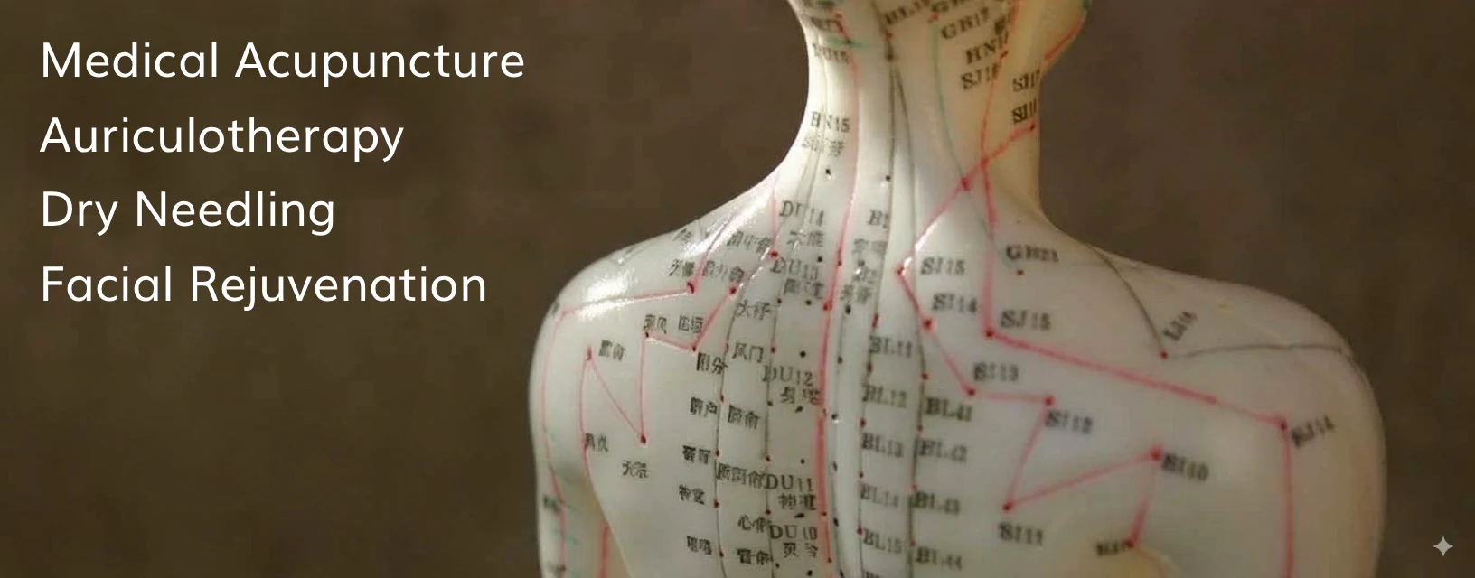 Acupuncture Ruth McWilliam Ruth McWilliam Acupuncture